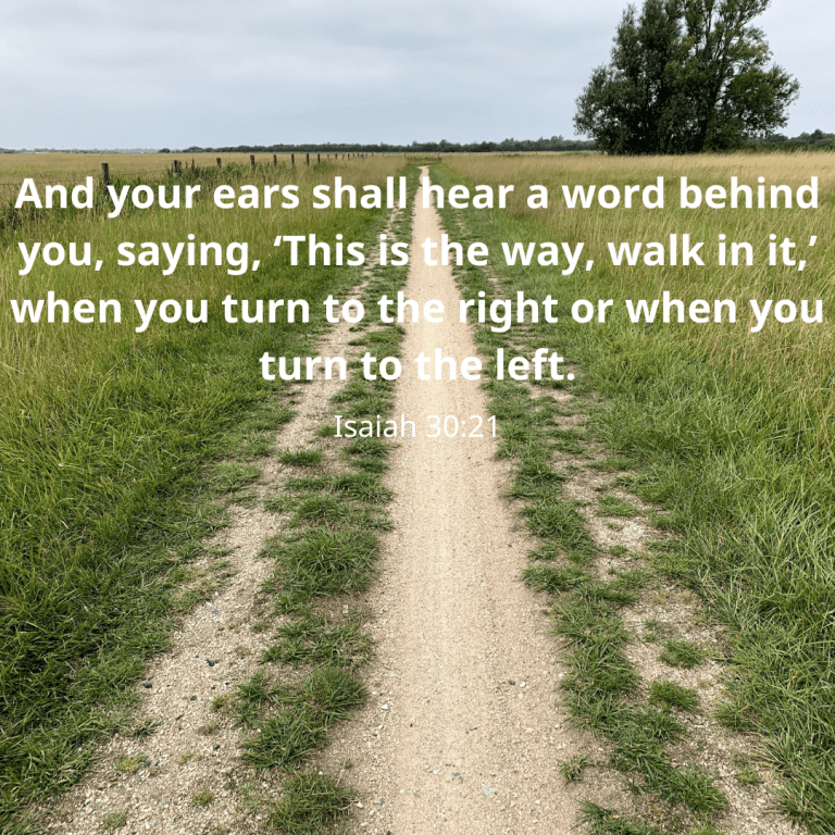 And your ears shall hear a word behind you, saying, ‘This is the way, walk in it,’ when you turn to the right or when you turn to the left.