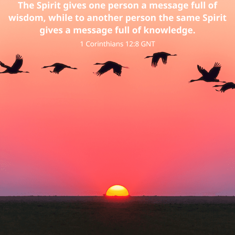 The Spirit gives one person a message full of wisdom, while to another person the same Spirit gives a message full of knowledge.