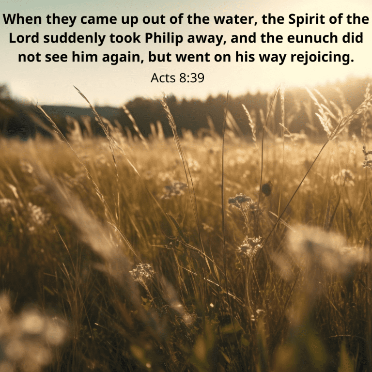 When they came up out of the water, the Spirit of the Lord suddenly took Philip away, and the eunuch did not see him again, but went on his way rejoicing.
